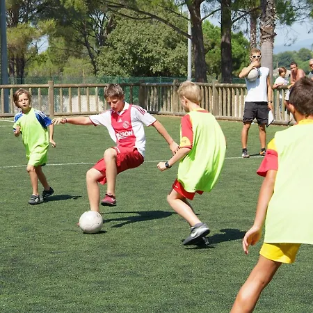 La Baume La Palmeraie مكان تخييم Fréjus