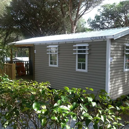 Camping La Baume La Palmeraie Campingplads Fréjus