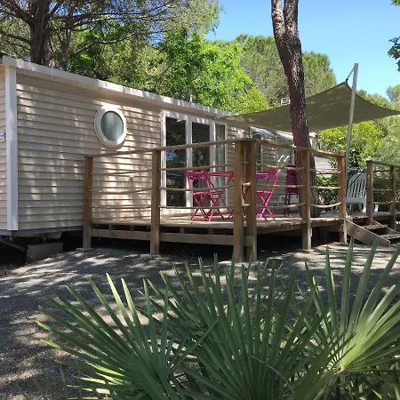 Campingplads Camping La Baume La Palmeraie 5*